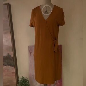 Madewell Cinnamon Colored Dress with Side Tie